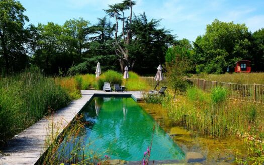 Sublime Le Duc Viollet style manor house with its vines