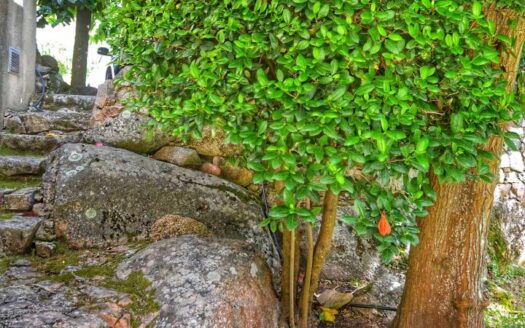 A peaceful place to flourish with family and entertain, Porto-Vecchio center