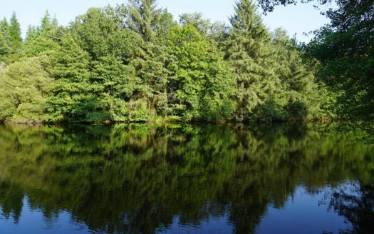 21-hectare estate, sublime with two ponds and surrounded by a lush forest nestled in the heart of the Périgord Vert natural park.