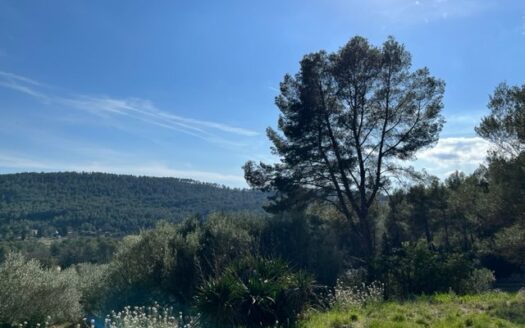 Provencal bastide and large terraced land
