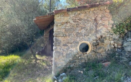 Provencal bastide and large terraced land