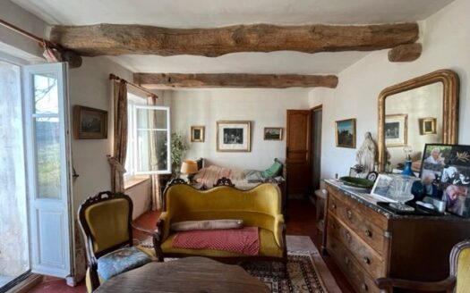 Provencal bastide and large terraced land