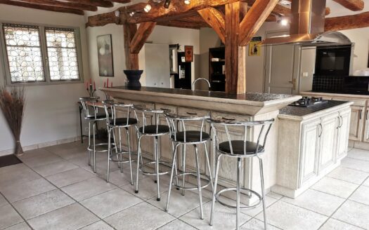 Beautiful 19th century property, ideally located in the heart of the tourist sites of Amboise, Beauval and Chenonceau.