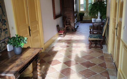 EXCEPTIONAL PROPERTY CLOSE TO COGNAC