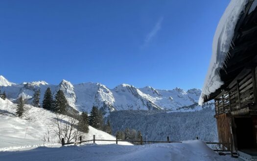Unique. Chalet built in 1796