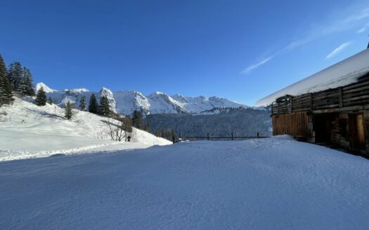 Unique. Chalet built in 1796
