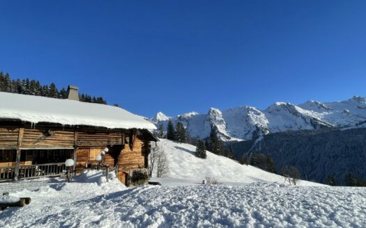 Unique. Chalet built in 1796