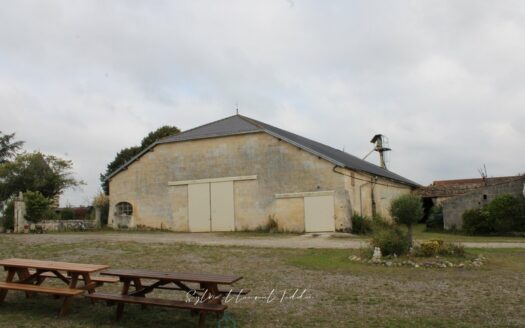 AGRICULTURAL PROPERTY, FORMER HUNTING ESTATE OF 111 HA NEAR JONZAC