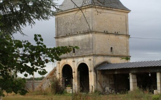 AGRICULTURAL PROPERTY, FORMER HUNTING ESTATE OF 111 HA NEAR JONZAC