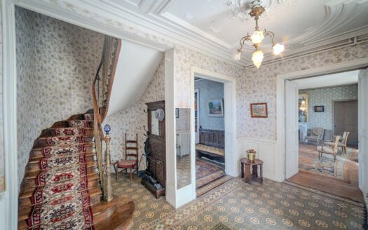 FORMER WINE PROPERTY IN GRANDE CHAMPAGNE ON OVER 3 HA