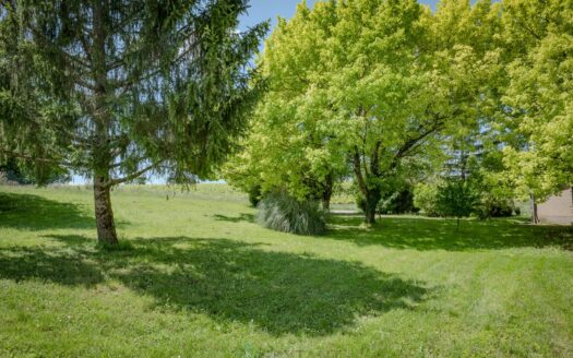 FORMER WINE PROPERTY IN GRANDE CHAMPAGNE ON OVER 3 HA