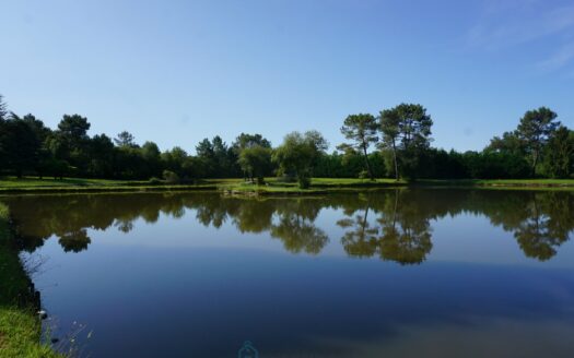 Typical property of Périgord embellished by its two ponds.