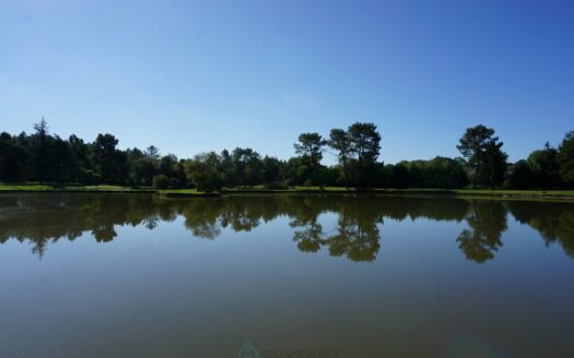 Typical property of Périgord embellished by its two ponds.