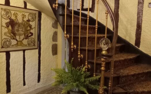HIGH NICHE MAGNIFICENT CHATEAU ON 7700 M2 WITH ITS SOURCE