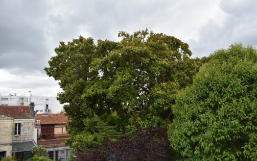 IMPOSING AND CHARMING HOUSE FROM THE 50S IN THE CENTER OF BORDEAUX